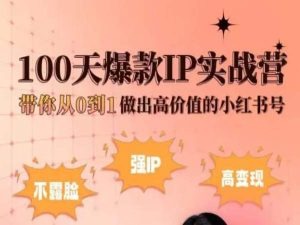 小红书的100天爆品IP实战营，陪你从0到1作出高颜值的小红书号-云网创资源站