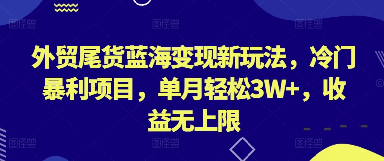 外贸尾货蓝海变现新玩法，冷门暴利项目，单月轻松3W+，收益无上限【揭秘】-云网创资源站