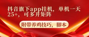 抖音视频集团旗下APP放置挂机，4.0游戏玩法，防出现异常，升级养机方式-云网创资源站