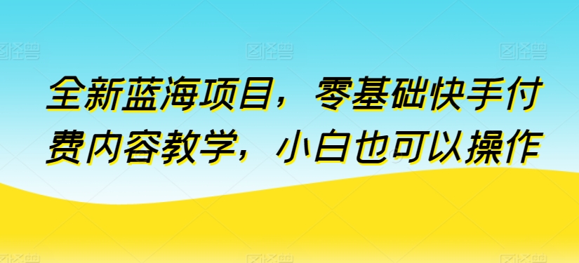 全新升级蓝海项目，零基础快手视频付费视频课堂教学，新手也可以操作【揭密】-云网创资源站