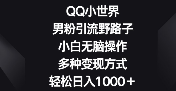 QQ小世界男粉引流野路子，小白无脑操作，多种变现方式轻松日入1000+-云网创资源站