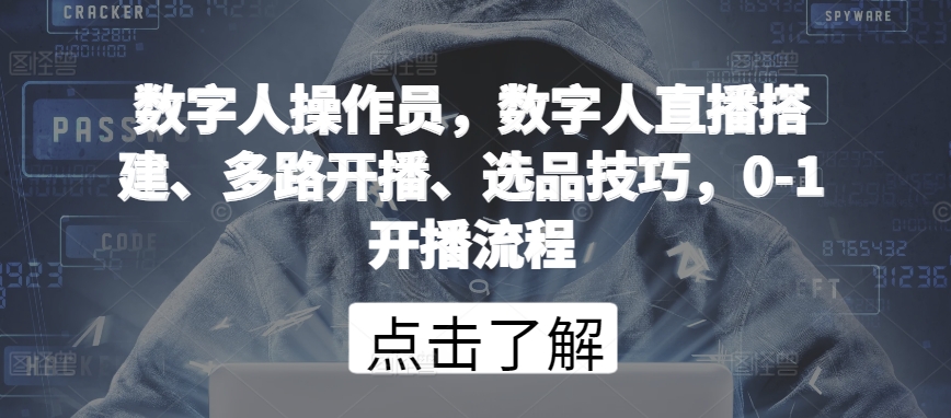 数字人操作员，数字人直播搭建、多路开播、选品技巧，0-1开播流程-云网创资源站