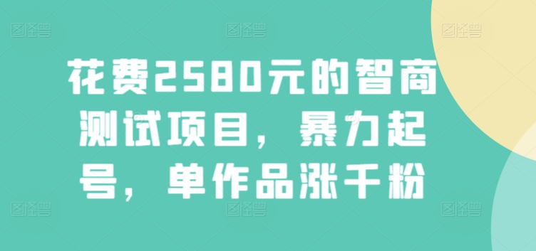 花费2580元的智商测试项目，暴力起号，单作品涨千粉-云网创资源站