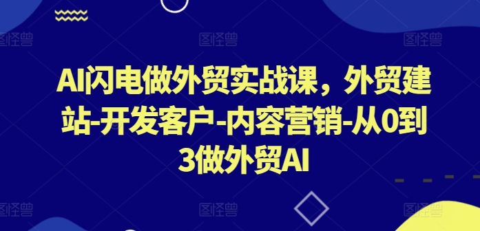 AI闪电做外贸实战课，​外贸建站-开发客户-内容营销-从0到3做外贸AI-云网创资源站