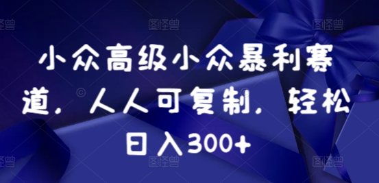 小众暴利赛道，人人可复制，轻松日入300+-云网创资源站