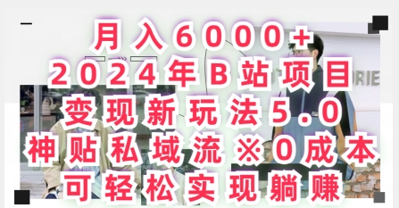 月入6000+，2024年B站项目变现新玩法5.0.神贴私域流0成本，可轻松实现躺赚-云网创资源站