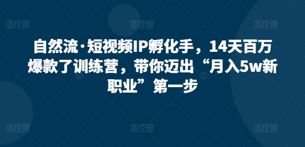 自然流·短视频IP孵化手，14天百万爆款了训练营，带你迈出“月入5w新职业”第一步-云网创资源站