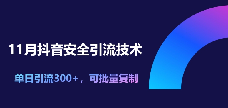 11月抖音安全引流技术，单日引流方法300 ，可快速复制-云网创资源站