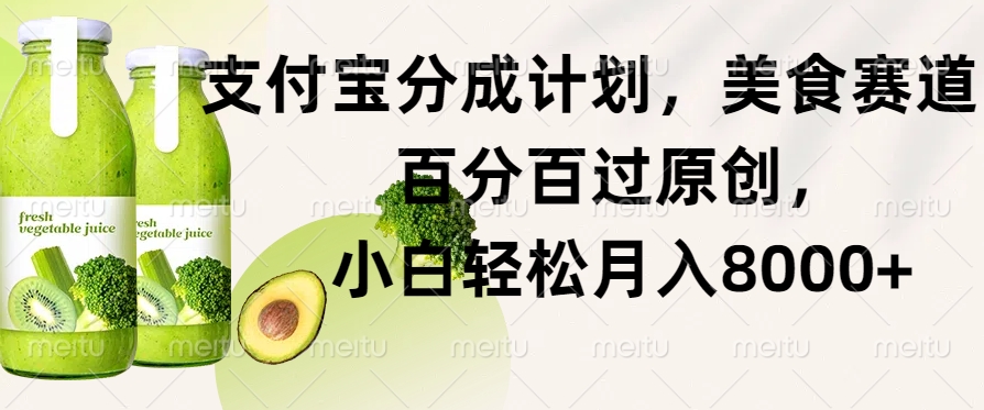 支付宝钱包分为方案，特色美食跑道，百分之百过原创设计，新手轻轻松松月入8000-云网创资源站