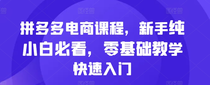 拼多多电商课程内容，初学者纯小白必读，零基础教学快速上手-云网创资源站