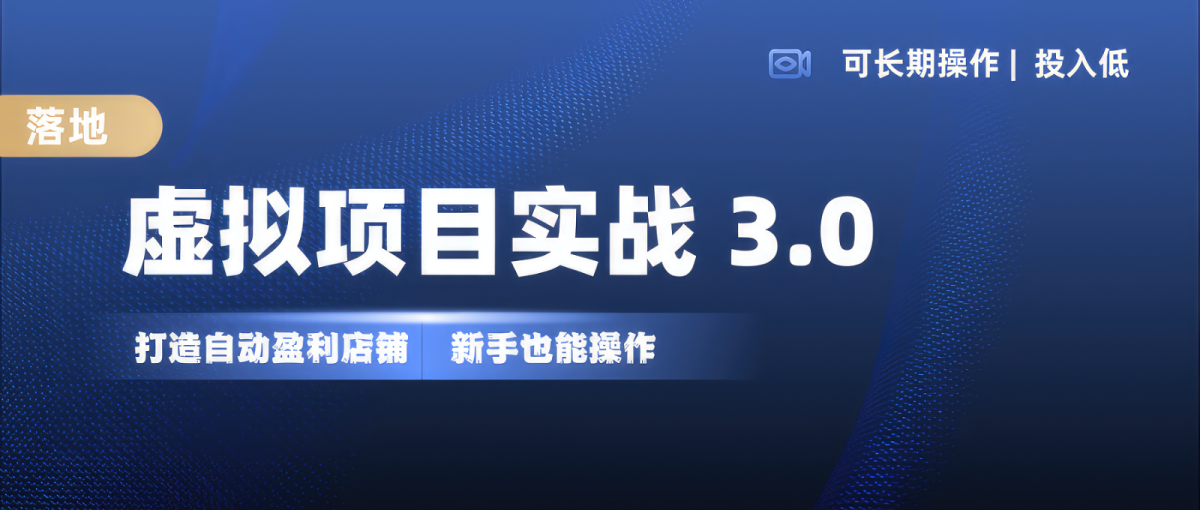 虚拟资源项目实际操作落地式 3.0,初学者快速上手，品类月入1W-云网创资源站