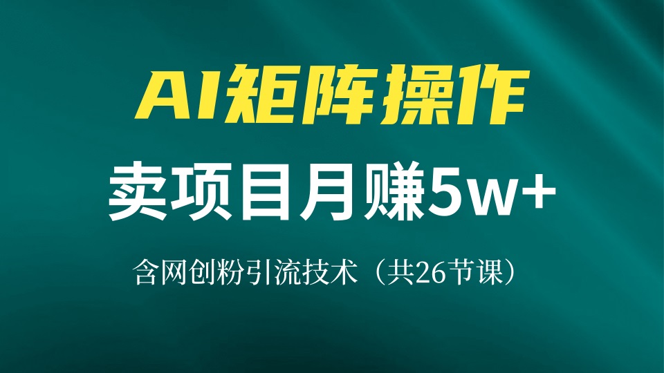 网创IP打造出课，依靠AI卖项目月赚5万 ，含引流技术（共26堂课）-云网创资源站