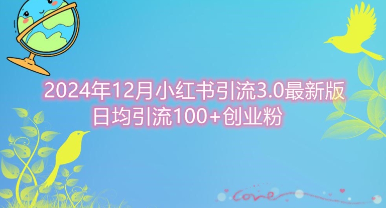 2024年12月小红书引流最新版，日均引流100+创业粉-云网创资源站