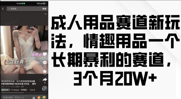 成人用品赛道新玩法，情趣用品一个长期暴利的赛道，3个月收益20个【揭秘】-云网创资源站