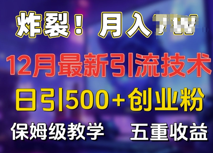 炸裂!揭秘12月最新日引流500+精准创业粉，多重收益保姆级教学-云网创资源站